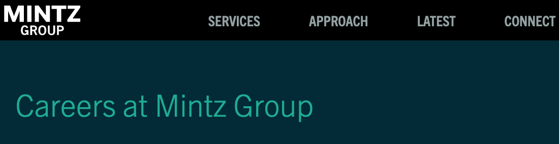 Mintz Group LLC